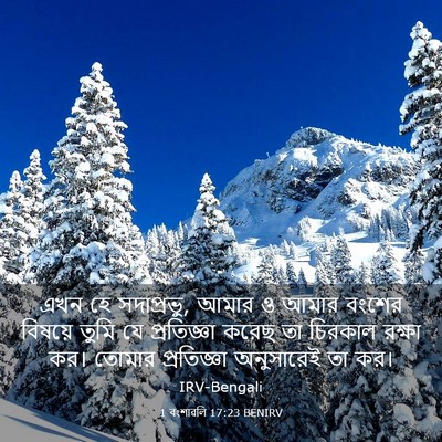 Picture 03 - 1 বংশাৱলি 17:23 BENIRV - এখন হে সদাপ্রভু, - Bible Verse Picture