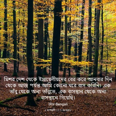Picture 03 - 1 বংশাৱলি 17:5 BENIRV - মিশর দেশ থেকে - Bible Verse Picture