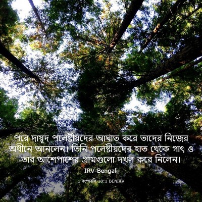 Picture 03 - 1 বংশাৱলি 18:1 BENIRV - পরে দায়ূদ - Bible Verse Picture