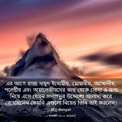 Picture 03 - 1 বংশাৱলি 18:11 BENIRV - এর আগে রাজা দায়ূদ - Bible Verse Picture