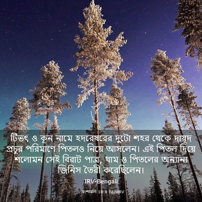 Picture 03 - 1 বংশাৱলি 18:8 BENIRV - টিভৎ ও কূন নামে - Bible Verse Picture