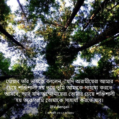 Picture 03 - 1 বংশাৱলি 19:12 BENIRV - যোয়াব তাঁর ভাইকে - Bible Verse Picture