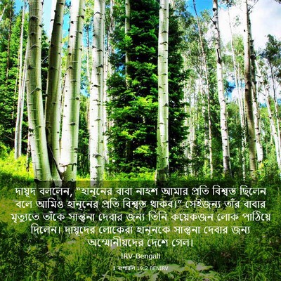 Picture 03 - 1 বংশাৱলি 19:2 BENIRV - দায়ূদ বললেন, - Bible Verse Picture