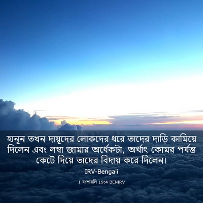 Picture 03 - 1 বংশাৱলি 19:4 BENIRV - হানূন তখন - Bible Verse Picture