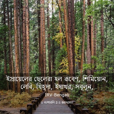 Picture 03 - 1 বংশাৱলি 2:1 BENIRV - ইস্রায়েলের - Bible Verse Picture