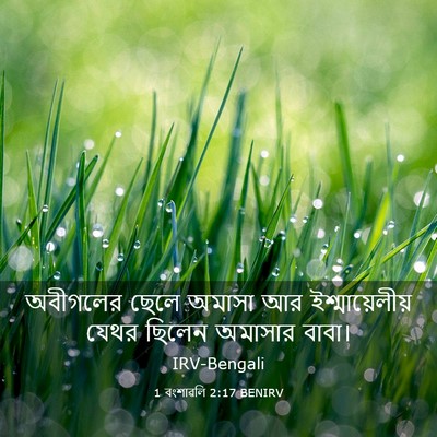 Picture 03 - 1 বংশাৱলি 2:17 BENIRV - অবীগলের ছেলে - Bible Verse Picture