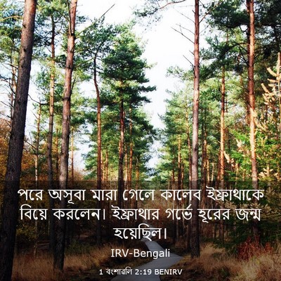Picture 03 - 1 বংশাৱলি 2:19 BENIRV - পরে অসূবা মারা - Bible Verse Picture