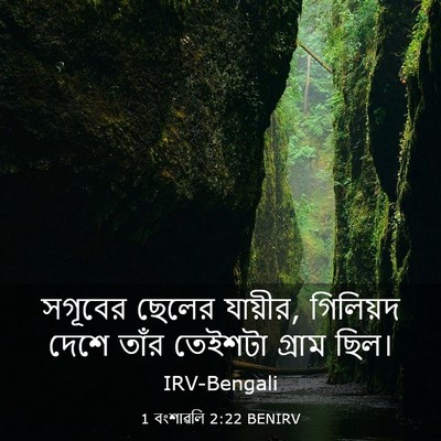 Picture 03 - 1 বংশাৱলি 2:22 BENIRV - সগূবের ছেলের - Bible Verse Picture