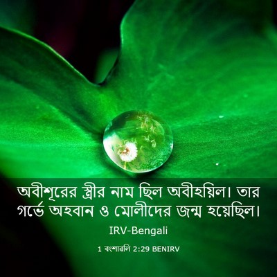 Picture 03 - 1 বংশাৱলি 2:29 BENIRV - অবীশূরের স্ত্রীর - Bible Verse Picture