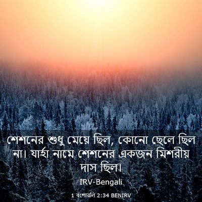 Picture 03 - 1 বংশাৱলি 2:34 BENIRV - শেশনের শুধু মেয়ে - Bible Verse Picture