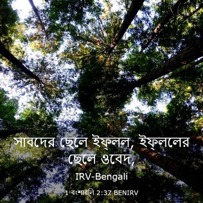 Picture 03 - 1 বংশাৱলি 2:37 BENIRV - সাবদের ছেলে - Bible Verse Picture