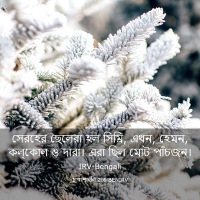 Picture 03 - 1 বংশাৱলি 2:6 BENIRV - সেরহের ছেলেরা হল - Bible Verse Picture