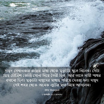 Picture 03 - 1 বংশাৱলি 20:2 BENIRV - দায়ূদ সেখানকার - Bible Verse Picture