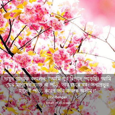 Picture 03 - 1 বংশাৱলি 21:13 BENIRV - দায়ূদ গাদকে - Bible Verse Picture