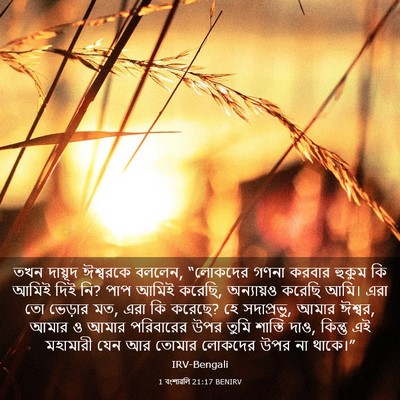 Picture 03 - 1 বংশাৱলি 21:17 BENIRV - তখন দায়ূদ - Bible Verse Picture