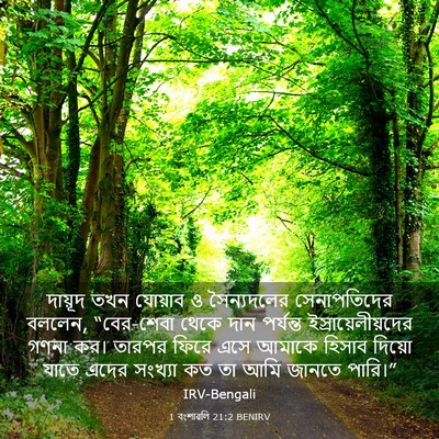 Picture 03 - 1 বংশাৱলি 21:2 BENIRV - দায়ূদ তখন যোয়াব - Bible Verse Picture