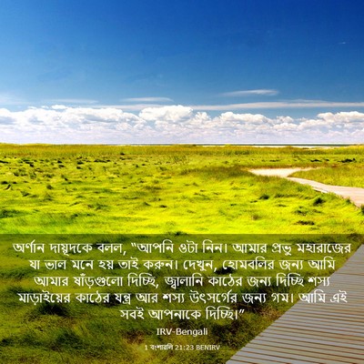 Picture 03 - 1 বংশাৱলি 21:23 BENIRV - অর্ণান দায়ূদকে - Bible Verse Picture