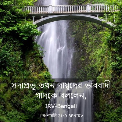 Picture 03 - 1 বংশাৱলি 21:9 BENIRV - সদাপ্রভু তখন - Bible Verse Picture