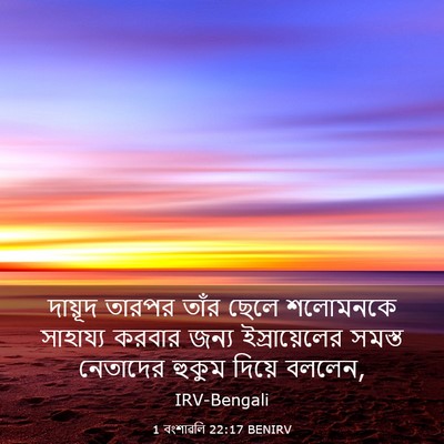 Picture 03 - 1 বংশাৱলি 22:17 BENIRV - দায়ূদ তারপর তাঁর - Bible Verse Picture