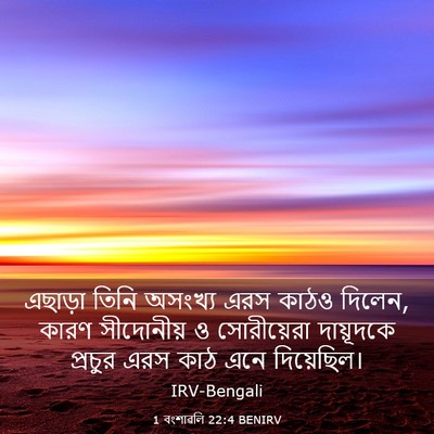 Picture 03 - 1 বংশাৱলি 22:4 BENIRV - এছাড়া তিনি - Bible Verse Picture