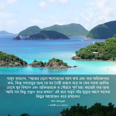 Picture 03 - 1 বংশাৱলি 22:5 BENIRV - দায়ূদ বললেন, - Bible Verse Picture