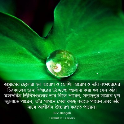Picture 03 - 1 বংশাৱলি 23:13 BENIRV - অম্রামের ছেলেরা - Bible Verse Picture