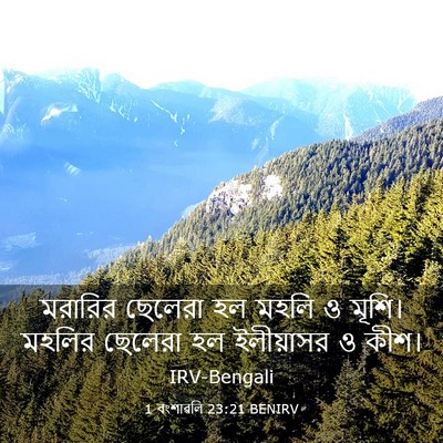 Picture 03 - 1 বংশাৱলি 23:21 BENIRV - মরারির ছেলেরা হল - Bible Verse Picture