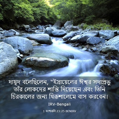Picture 03 - 1 বংশাৱলি 23:25 BENIRV - দায়ূদ বলেছিলেন, - Bible Verse Picture