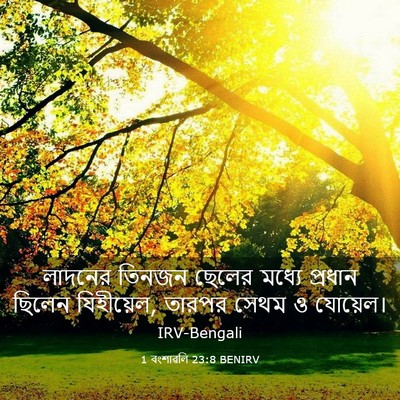 Picture 03 - 1 বংশাৱলি 23:8 BENIRV - লাদনের তিনজন - Bible Verse Picture