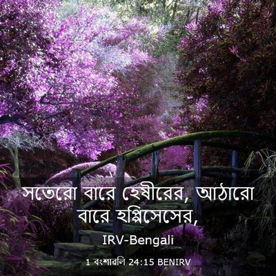 Picture 03 - 1 বংশাৱলি 24:15 BENIRV - সতেরো বারে - Bible Verse Picture