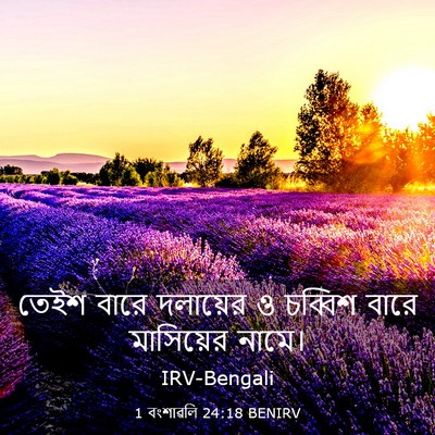 Picture 03 - 1 বংশাৱলি 24:18 BENIRV - তেইশ বারে দলায়ের - Bible Verse Picture