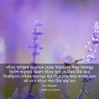 Picture 03 - 1 বংশাৱলি 24:19 BENIRV - তাঁদের পূর্বপুরুষ - Bible Verse Picture