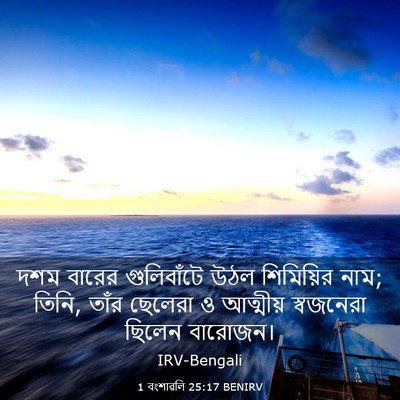 Picture 03 - 1 বংশাৱলি 25:17 BENIRV - দশম বারের - Bible Verse Picture