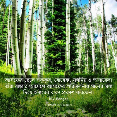 Picture 03 - 1 বংশাৱলি 25:2 BENIRV - আসফের ছেলে সক্কুর, - Bible Verse Picture