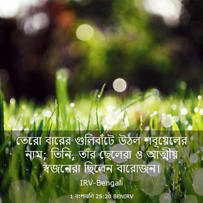 Picture 03 - 1 বংশাৱলি 25:20 BENIRV - তেরো বারের - Bible Verse Picture