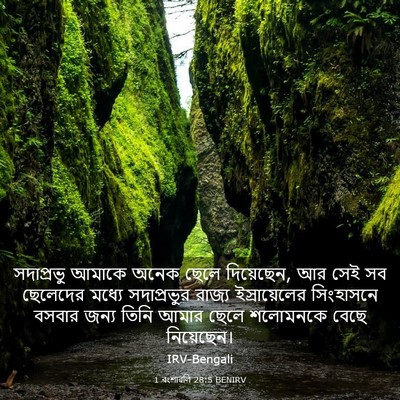Picture 03 - 1 বংশাৱলি 28:5 BENIRV - সদাপ্রভু আমাকে - Bible Verse Picture