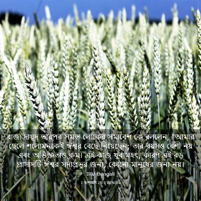Picture 03 - 1 বংশাৱলি 29:1 BENIRV - রাজা দায়ূদ তারপর - Bible Verse Picture
