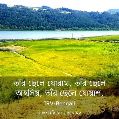 Picture 03 - 1 বংশাৱলি 3:11 BENIRV - তাঁর ছেলে যোরাম, - Bible Verse Picture