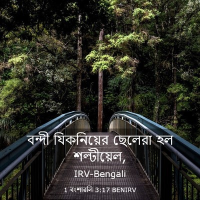 Picture 03 - 1 বংশাৱলি 3:17 BENIRV - বন্দী যিকনিয়ের - Bible Verse Picture