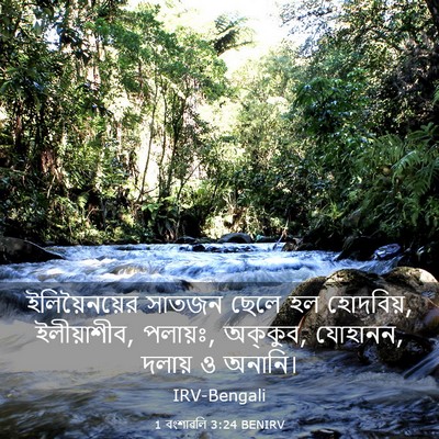 Picture 03 - 1 বংশাৱলি 3:24 BENIRV - ইলিয়ৈনয়ের সাতজন - Bible Verse Picture
