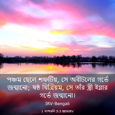 Picture 03 - 1 বংশাৱলি 3:3 BENIRV - পঞ্চম ছেলে শফটিয়, - Bible Verse Picture