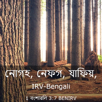 Picture 03 - 1 বংশাৱলি 3:7 BENIRV - নোগহ, নেফগ, - Bible Verse Picture