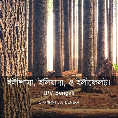 Picture 03 - 1 বংশাৱলি 3:8 BENIRV - ইলীশামা, ইলিয়াদা, - Bible Verse Picture