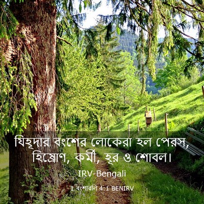 Picture 03 - 1 বংশাৱলি 4:1 BENIRV - যিহূদার বংশের - Bible Verse Picture