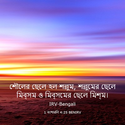 Picture 03 - 1 বংশাৱলি 4:25 BENIRV - শৌলের ছেলে হল - Bible Verse Picture