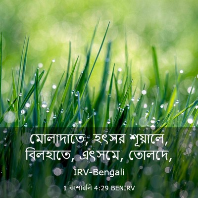 Picture 03 - 1 বংশাৱলি 4:29 BENIRV - মোলাদাতে, হৎসর - Bible Verse Picture