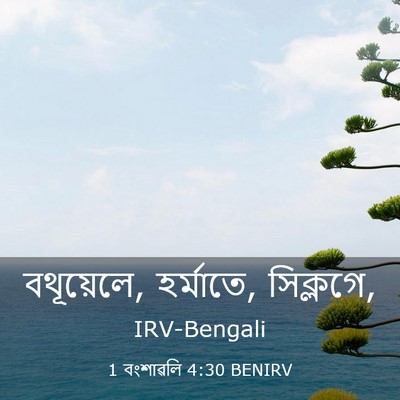 Picture 03 - 1 বংশাৱলি 4:30 BENIRV - বথূয়েলে, হর্মাতে, - Bible Verse Picture