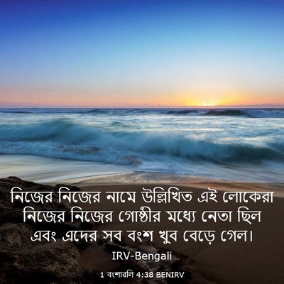 Picture 03 - 1 বংশাৱলি 4:38 BENIRV - নিজের নিজের নামে - Bible Verse Picture