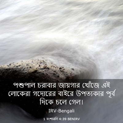 Picture 03 - 1 বংশাৱলি 4:39 BENIRV - পশুপাল চরাবার - Bible Verse Picture