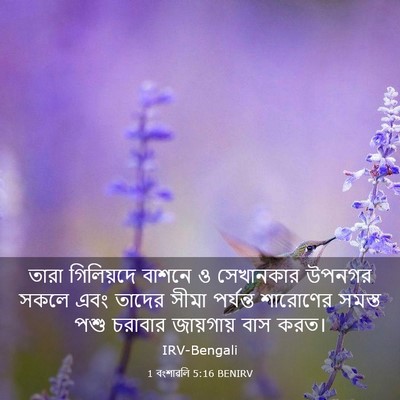 Picture 03 - 1 বংশাৱলি 5:16 BENIRV - তারা গিলিয়দে - Bible Verse Picture